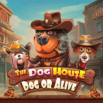 Thedoghouse